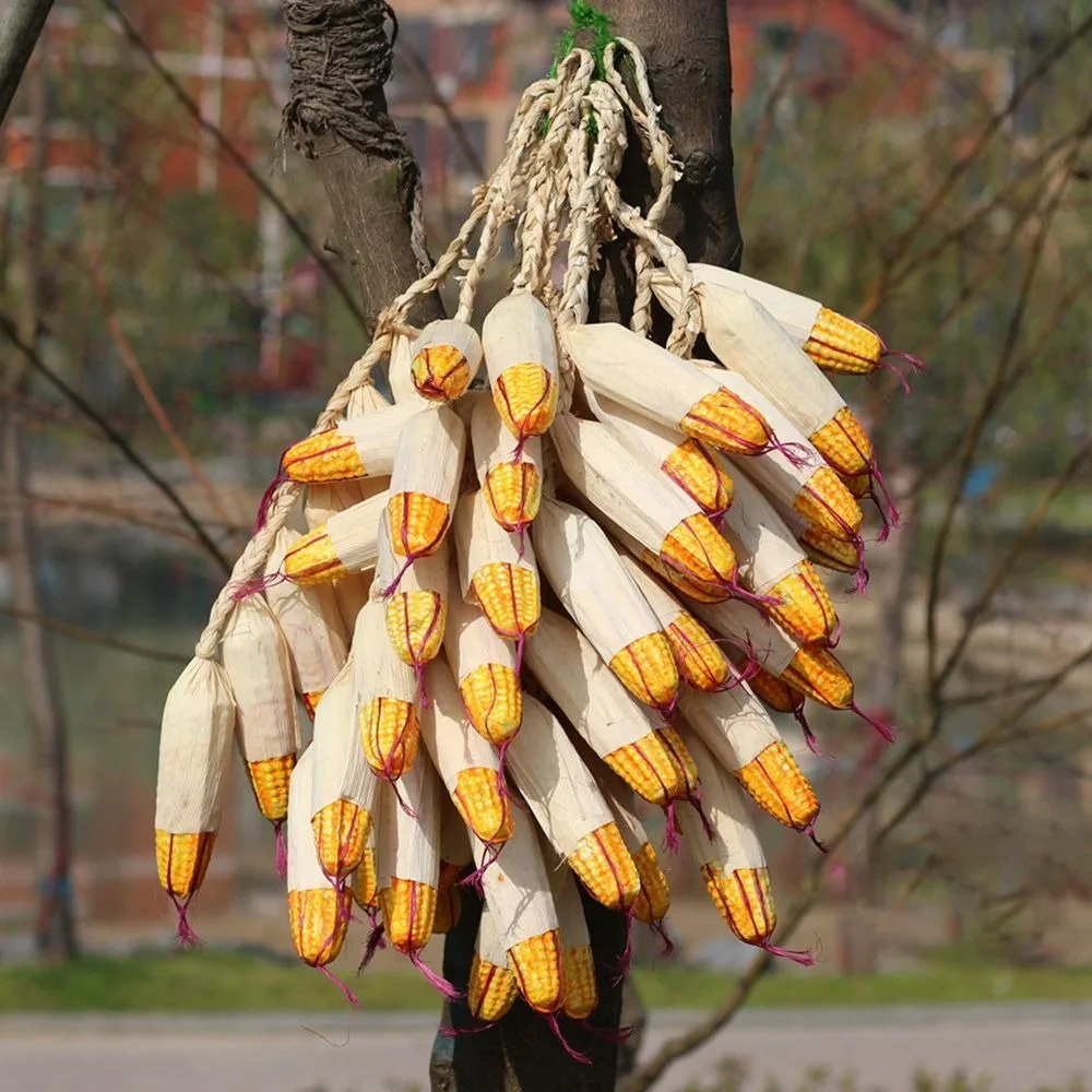 Pendant Room Decorative Restaurant Kitchen Decoration Artificial Vegetables Photography Props Fake Vegetables Simulation Food
Pendant Room Decorative Restaurant Kitchen Decoration Artificial Vegetables Photography Props Fake Vegetables Simulation Food