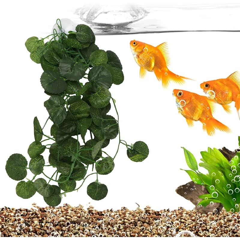 Земляные черепахи, ящерицы, хамелеоны, змеи, ползающие домашние животные, украшения для коробок с дождевым лесом, реквизит для ландшафтного дизайна в аквариуме
Земляные черепахи, ящерицы, хамелеоны, змеи, ползающие домашние животные, украшения для коробок с дождевым лесом, реквизит для ландшафтного дизайна в аквариуме