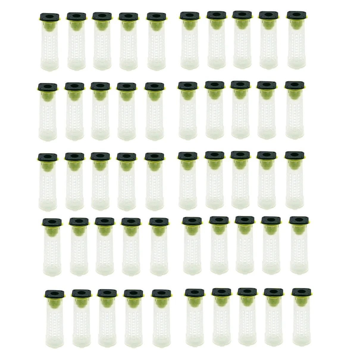 B08B-50 PCS Роликовая клетка для пчел Queen - Пластиковый комплект чашек для пчеловодства Queen Bee Roller Cage Назад Держатель для чашки Инструменты для пчеловодства
B08B-50 PCS Роликовая клетка для пчел Queen - Пластиковый комплект чашек для пчеловодства Queen Bee Roller Cage Назад Держатель для чашки Инструменты для пчеловодства