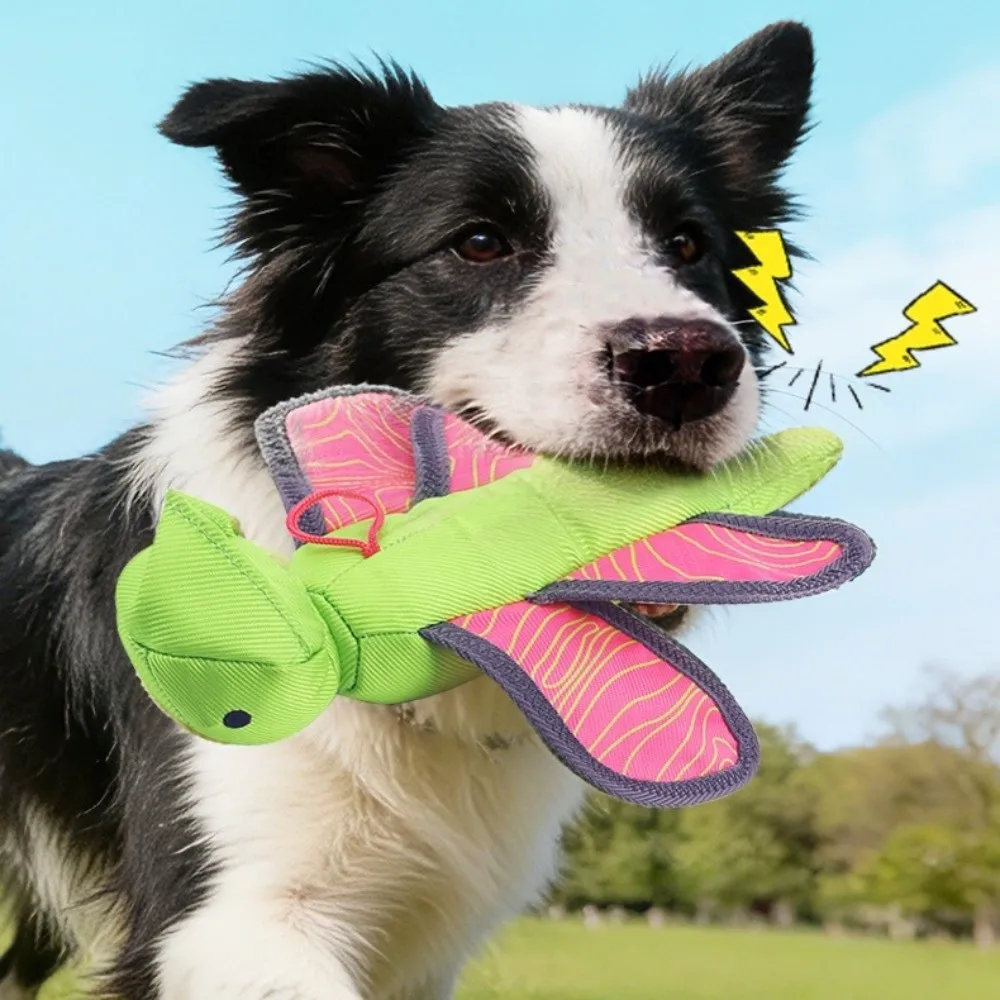 Press To Sound Interactive Dog Throw Bite Resistant Crinkle Paper Sound Dog Launch Chew Resistant Funny Puppy Fetch
Press To Sound Interactive Dog Throw Bite Resistant Crinkle Paper Sound Dog Launch Chew Resistant Funny Puppy Fetch