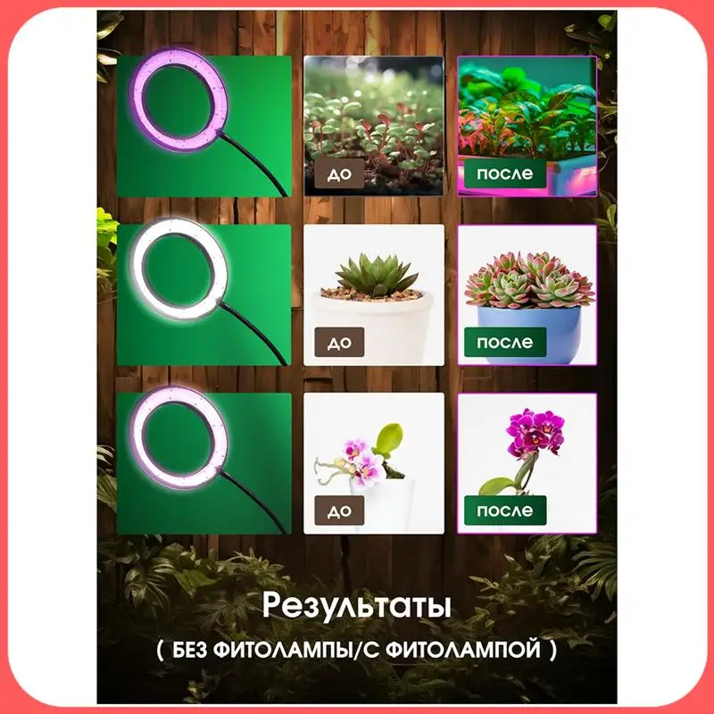 AA89-Plant Light, Plant Growth Light, Adjustable Height And Angle, Suitable For Indoor Plants
AA89-Plant Light, Plant Growth Light, Adjustable Height And Angle, Suitable For Indoor Plants