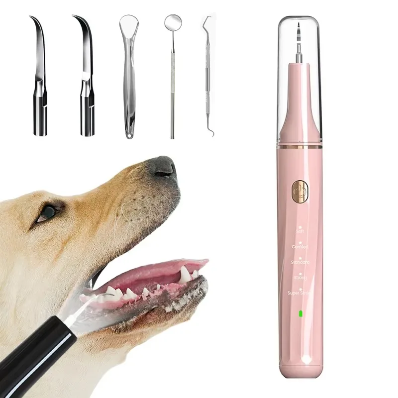 OEM Design Dog Tooth Cleaning Kit Plaque and Tartar Removal for Pet Ultrasonic Scaler
OEM Design Dog Tooth Cleaning Kit Plaque and Tartar Removal for Pet Ultrasonic Scaler