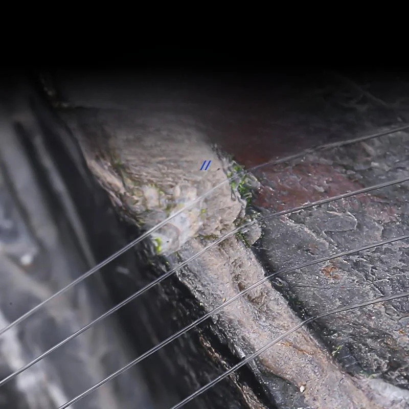 Top Brand Toray Fiing Line Main Line Subline Original Silk Super Soft High Tensile Nylon Line for Ocean Boat And Beach Fiing
Top Brand Toray Fiing Line Main Line Subline Original Silk Super Soft High Tensile Nylon Line for Ocean Boat And Beach Fiing