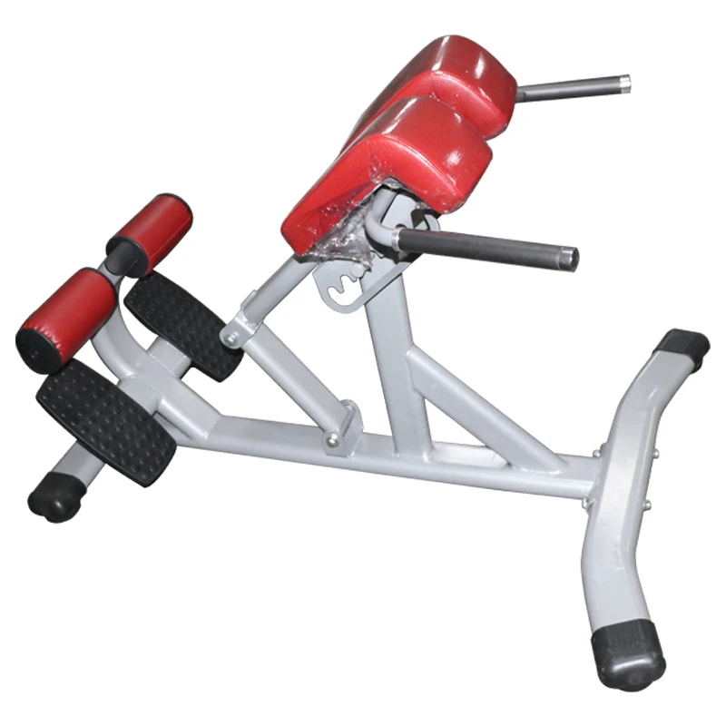 Commercial Gym Equipment Back Extension Roman Chair for Bodybuilding Hyperextension Abdominal Bench Strength Training
Commercial Gym Equipment Back Extension Roman Chair for Bodybuilding Hyperextension Abdominal Bench Strength Training