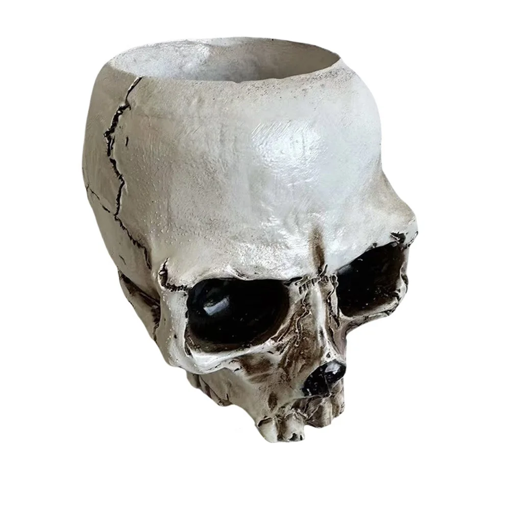 Versatile Storage Skull Candy Dish Decorative Bowl Intricate Carvings Multipurpose Design Resin Material 12*10*9cm
Versatile Storage Skull Candy Dish Decorative Bowl Intricate Carvings Multipurpose Design Resin Material 12*10*9cm