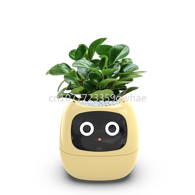 Home Garden Flower Pots Creative interaction mini smart garden indoor Smart flower planter APP Internet control Flowerpot
Home Garden Flower Pots Creative interaction mini smart garden indoor Smart flower planter APP Internet control Flowerpot