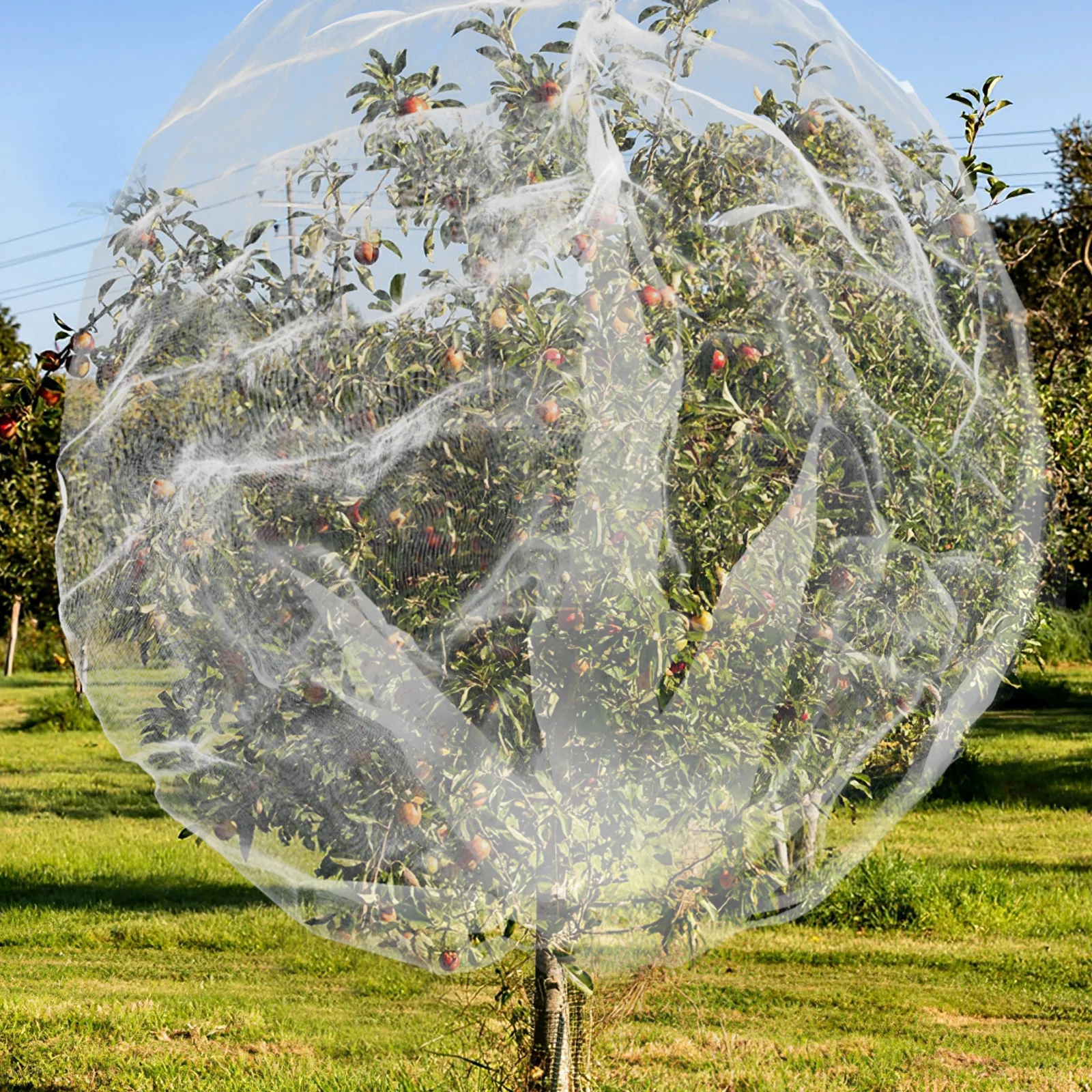 Fruit Tree Net Bag Drawstring Design Lightweight Garden Mesh Cover Bird Squirrel Barrier Fruit Protection Garden Netting Bags
Fruit Tree Net Bag Drawstring Design Lightweight Garden Mesh Cover Bird Squirrel Barrier Fruit Protection Garden Netting Bags