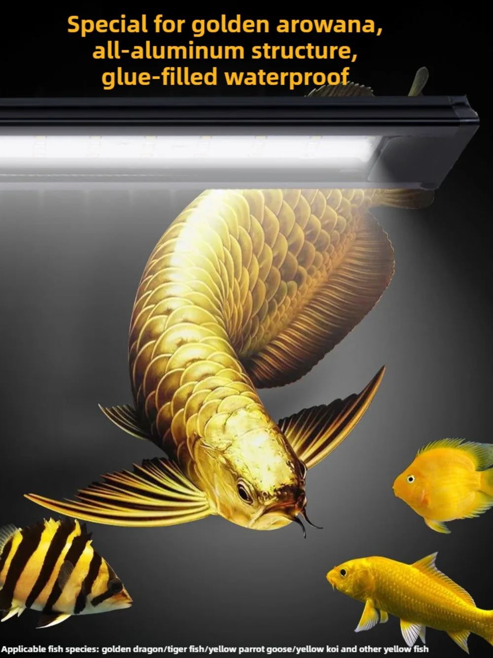 75W Aquarium LED Light Full Spectrum Yellow White Arowana Tanning Light for Golden Arowana Yellow Koi Amphibious Fish Tank Light
75W Aquarium LED Light Full Spectrum Yellow White Arowana Tanning Light for Golden Arowana Yellow Koi Amphibious Fish Tank Light