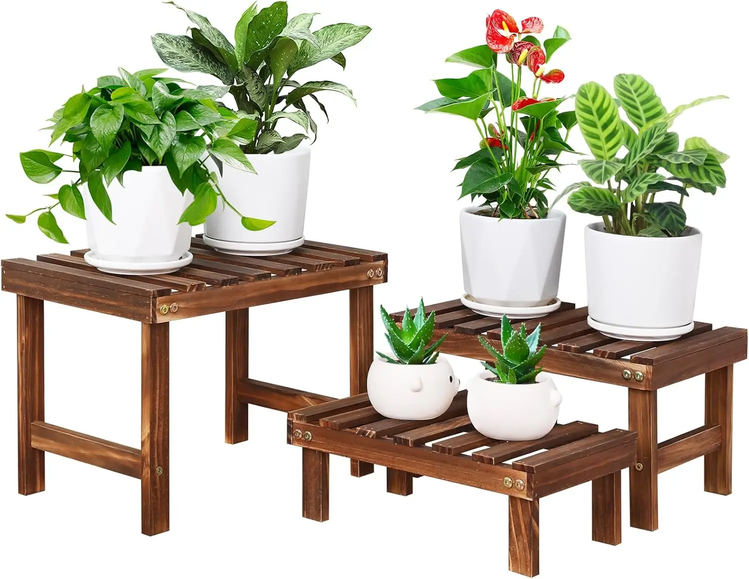 3-Tier Wooden Plant Stand for Indoor Outdoor Use, Freestanding Shelf for Succulents and Flowers
3-Tier Wooden Plant Stand for Indoor Outdoor Use, Freestanding Shelf for Succulents and Flowers