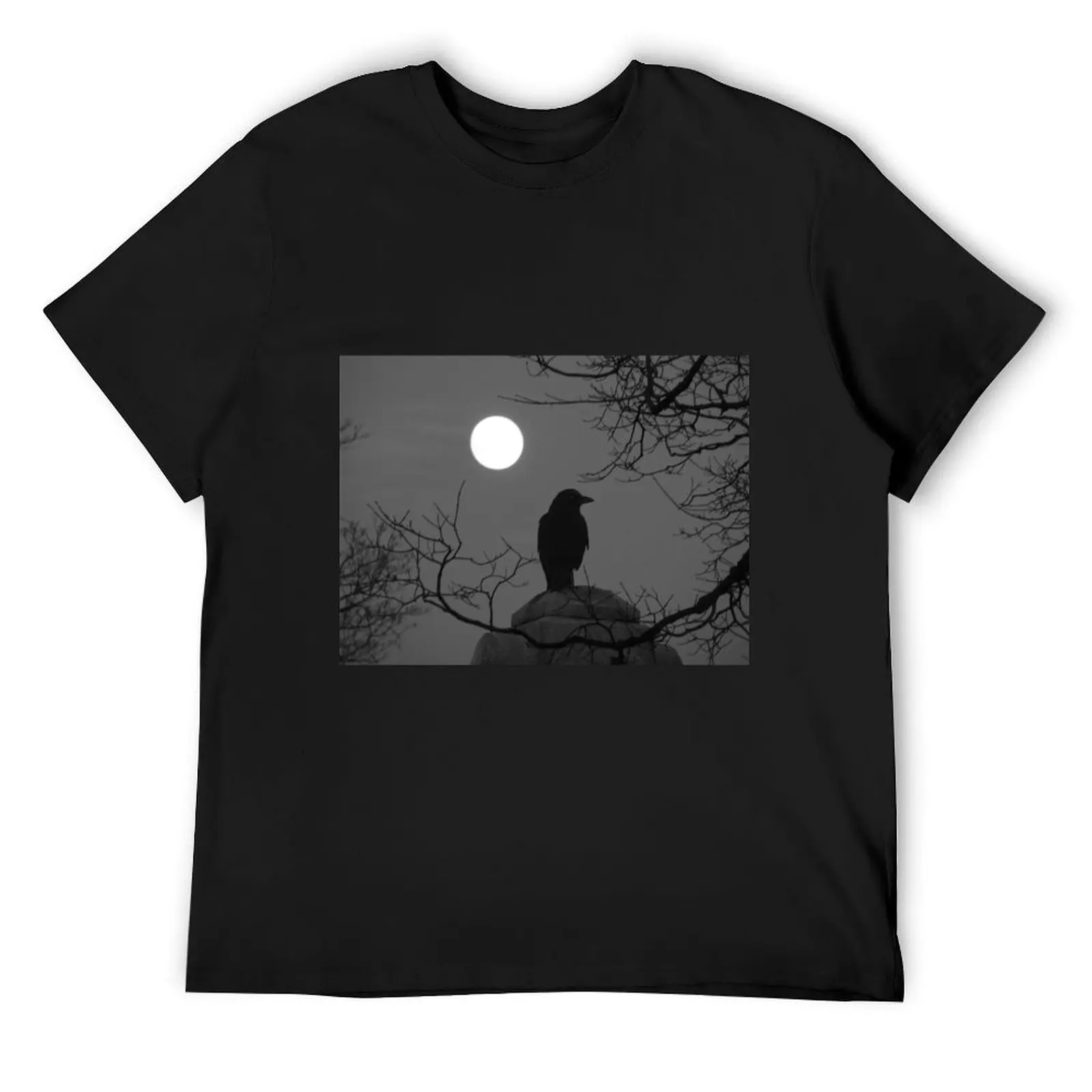 Moonlit Crow T-Shirt shirts graphic oversized t shirt vintage anime shirt cheap stuff T-shirt men
Moonlit Crow T-Shirt shirts graphic oversized t shirt vintage anime shirt cheap stuff T-shirt men