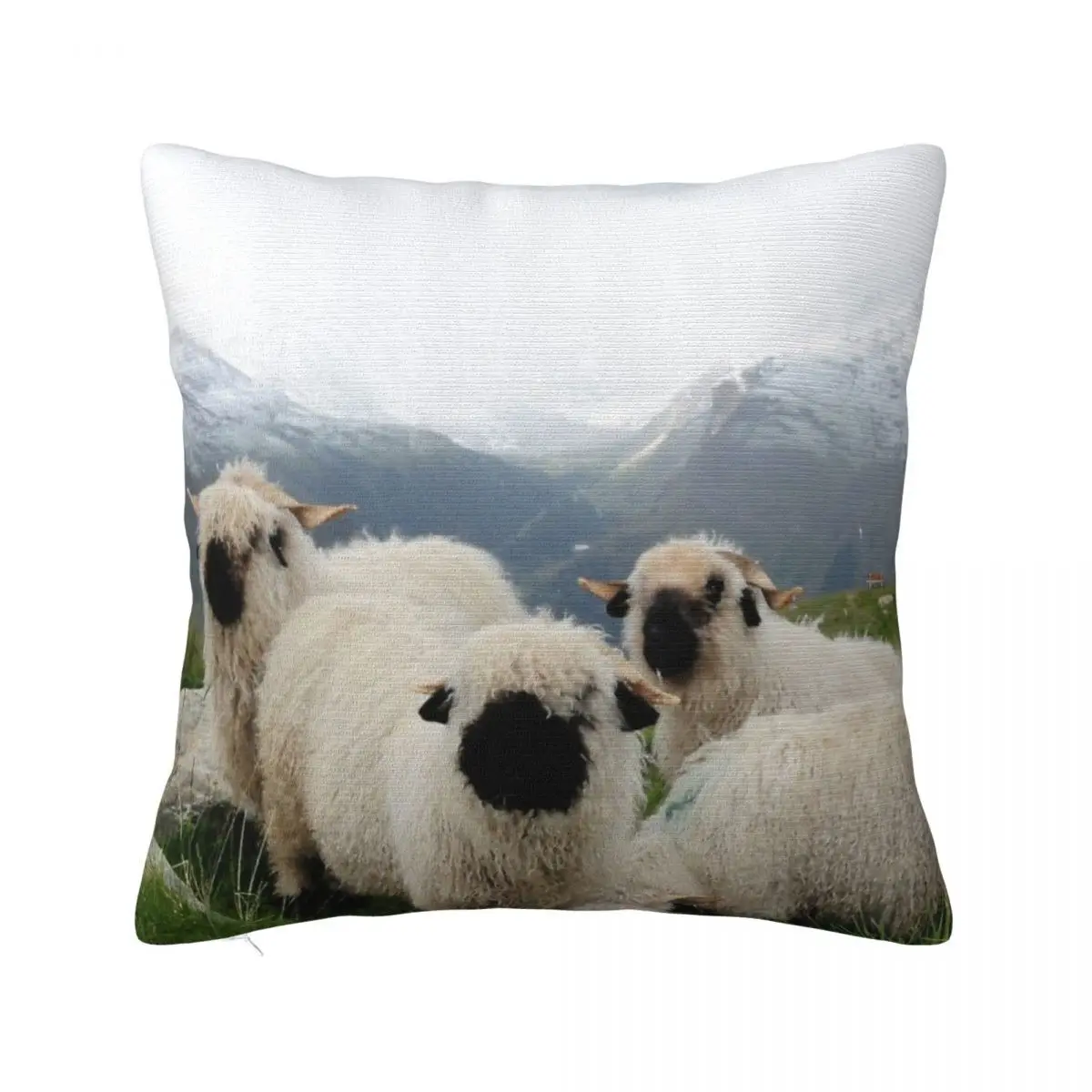 Black Nose Sheep Headboards Pillow Case Covers Decorative Pillowcase Pillow Case Pillow Cover
Black Nose Sheep Headboards Pillow Case Covers Decorative Pillowcase Pillow Case Pillow Cover