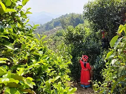 MJX Hyper Go 14301 14302 14303 1/14 высокоскоростные радиоуправляемые автомобили запасные части оригинальный корпус
MJX Hyper Go 14301 14302 14303 1/14 высокоскоростные радиоуправляемые автомобили запасные части оригинальный корпус