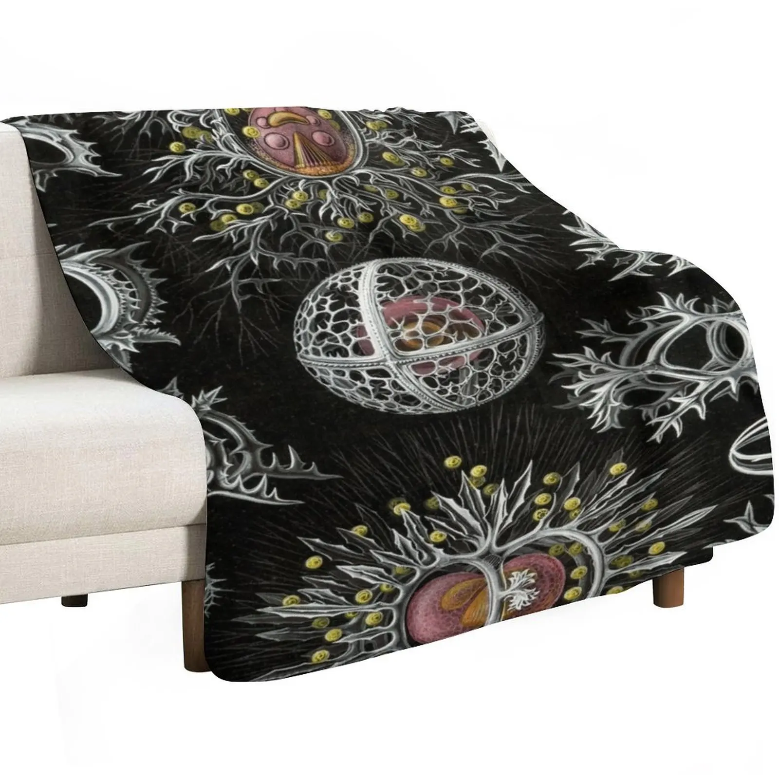 Haeckel Stephoidea Drawings Throw Blanket Weighted For Decorative Sofa sofa bed Blankets 
Haeckel Stephoidea Drawings Throw Blanket Weighted For Decorative Sofa sofa bed Blankets