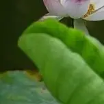 For HX X7 Scooter 36V Electric Scooter Battery 36V 5200mAh X7 Scooter Battery Foldable Built-in Rechargeable Batteries
For HX X7 Scooter 36V Electric Scooter Battery 36V 5200mAh X7 Scooter Battery Foldable Built-in Rechargeable Batteries