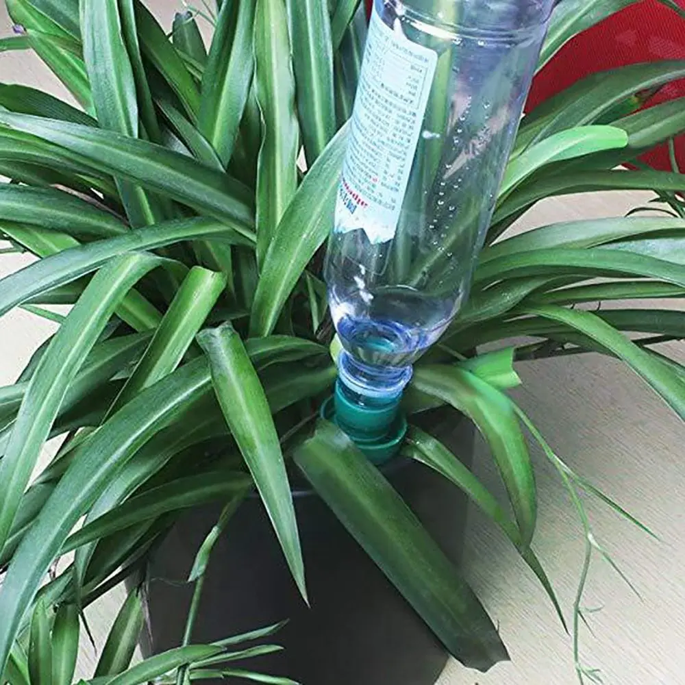 Durable Plant Watering Stakes Reusable Garden Supplies Irrigation Drip Device Vacation Plant Care Self Watering Stakes
Durable Plant Watering Stakes Reusable Garden Supplies Irrigation Drip Device Vacation Plant Care Self Watering Stakes