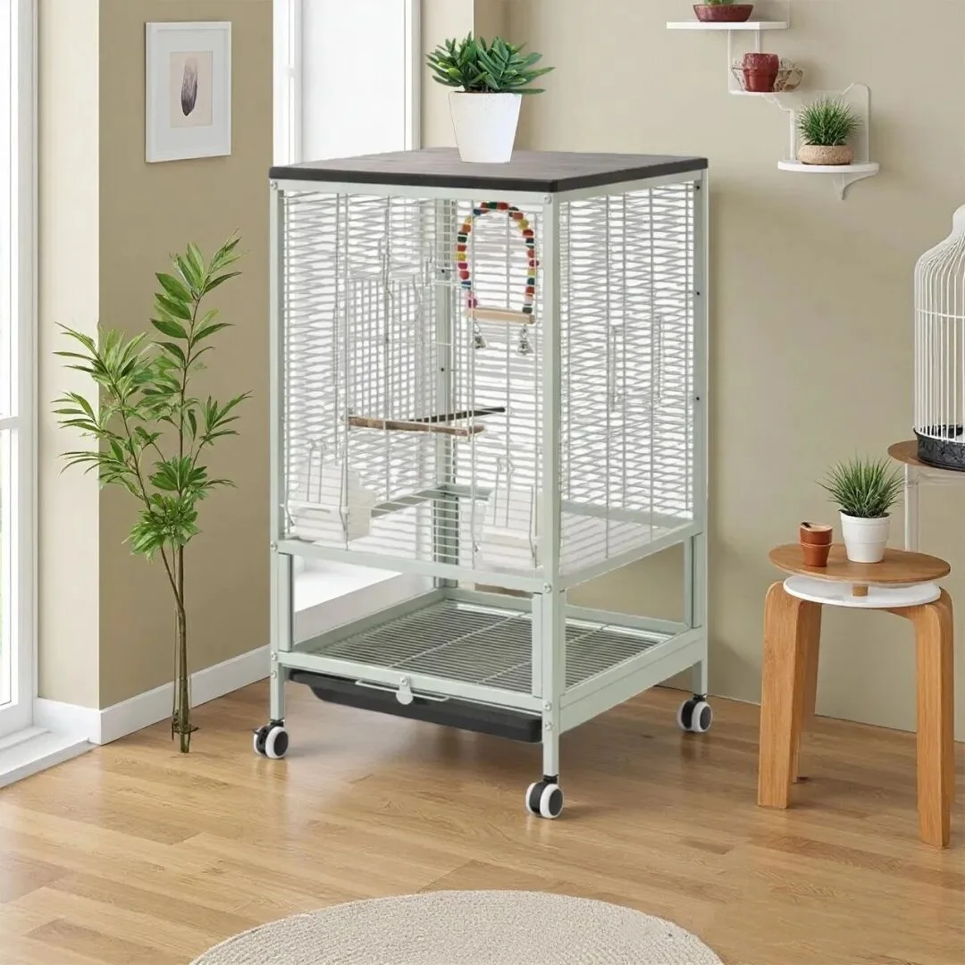 Export Large Space Metal Bird Cage Box Packed New Style for Budgie and Parrot Breeding for Villa Use
Export Large Space Metal Bird Cage Box Packed New Style for Budgie and Parrot Breeding for Villa Use