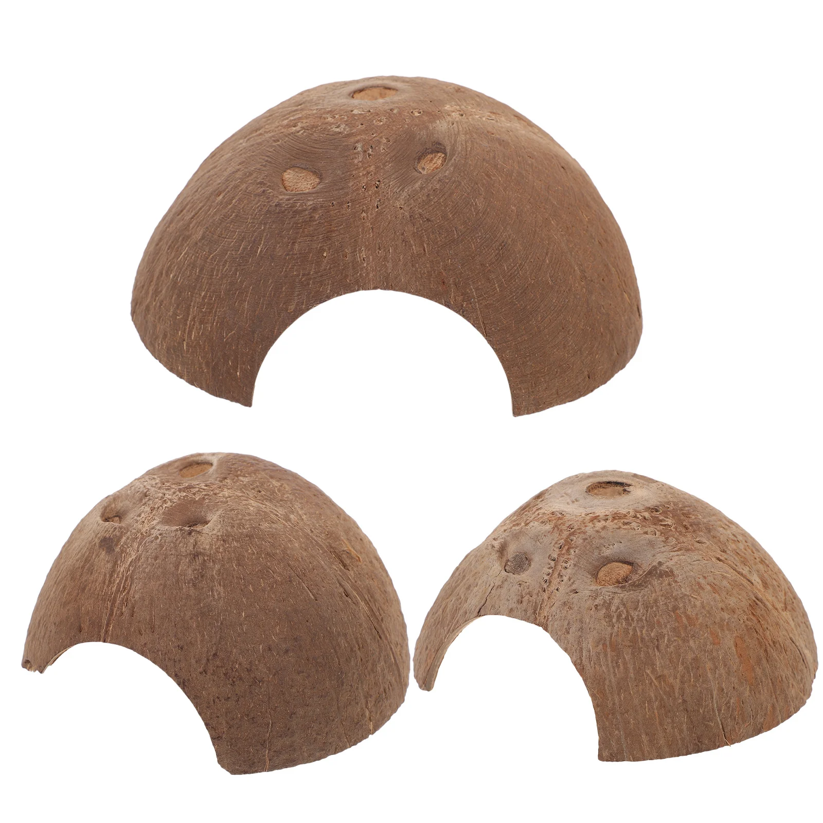 3Pcs Delicate Reptile Hiding Places Adorable Terrarium Decors Wear-Resistant Shelters Multi-Functional Versatile Lifelike
3Pcs Delicate Reptile Hiding Places Adorable Terrarium Decors Wear-Resistant Shelters Multi-Functional Versatile Lifelike