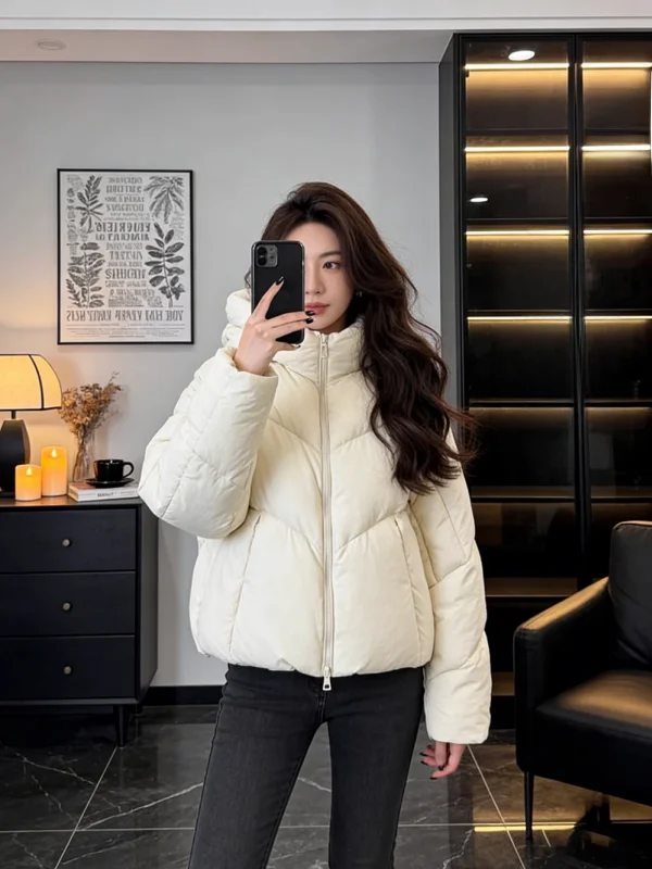 Женская зимняя утепленная хлопковая куртка с капюшоном, свободного кроя, на молнии, в корейском стиле, для повседневной носки
Женская зимняя утепленная хлопковая куртка с капюшоном, свободного кроя, на молнии, в корейском стиле, для повседневной носки