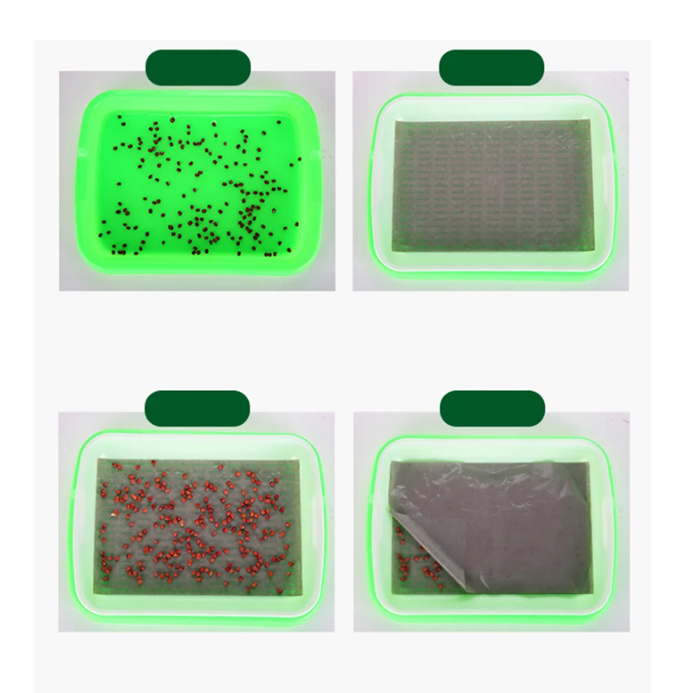 Sprouter Tray 35X26X5Cm Green Bpa Free Pp Soilless Seed Growing Kit For Wheatgrass Microgreens Dense Holes Ventilated Grid
Sprouter Tray 35X26X5Cm Green Bpa Free Pp Soilless Seed Growing Kit For Wheatgrass Microgreens Dense Holes Ventilated Grid