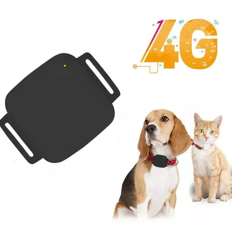 MINI GPS Tracking Device Dog Cat Activity Tracking Pet APP with WEB Monitoring Service
MINI GPS Tracking Device Dog Cat Activity Tracking Pet APP with WEB Monitoring Service