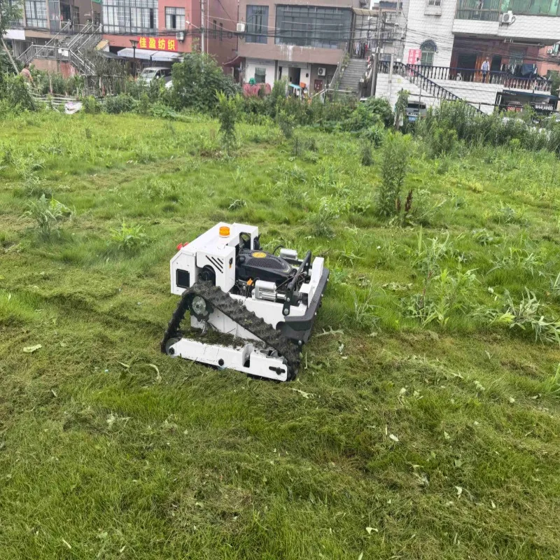 Hot Selling 2026 GRACE 500mm Pro RC Lawn Mower Remote Control Grass Cutter For Private Garden Free Shipping
Hot Selling 2026 GRACE 500mm Pro RC Lawn Mower Remote Control Grass Cutter For Private Garden Free Shipping