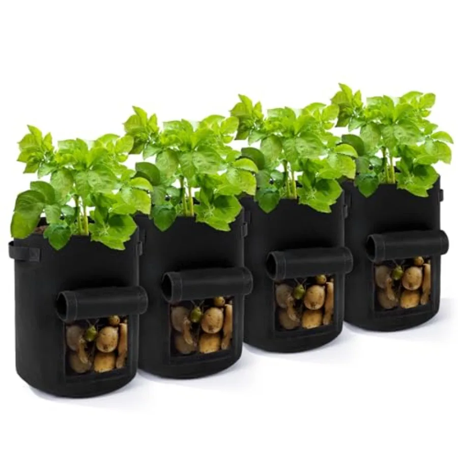 Пакеты для выращивания картофеля на заднем дворе, 10 галлонов, набор из 4 тканевых мешков для цветов с оконными ручками для урожая, многоразовая дышащая Dura 
Пакеты для выращивания картофеля на заднем дворе, 10 галлонов, набор из 4 тканевых мешков для цветов с оконными ручками для урожая, многоразовая дышащая Dura