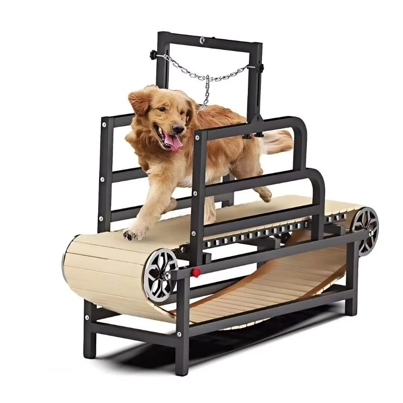 Folding Dog Treadmills for Small/Large Dogs | Ce Certified Speed Adjustable Non-Slip Belt | Pet Weight Loss and Rehabilitation
Folding Dog Treadmills for Small/Large Dogs | Ce Certified Speed Adjustable Non-Slip Belt | Pet Weight Loss and Rehabilitation