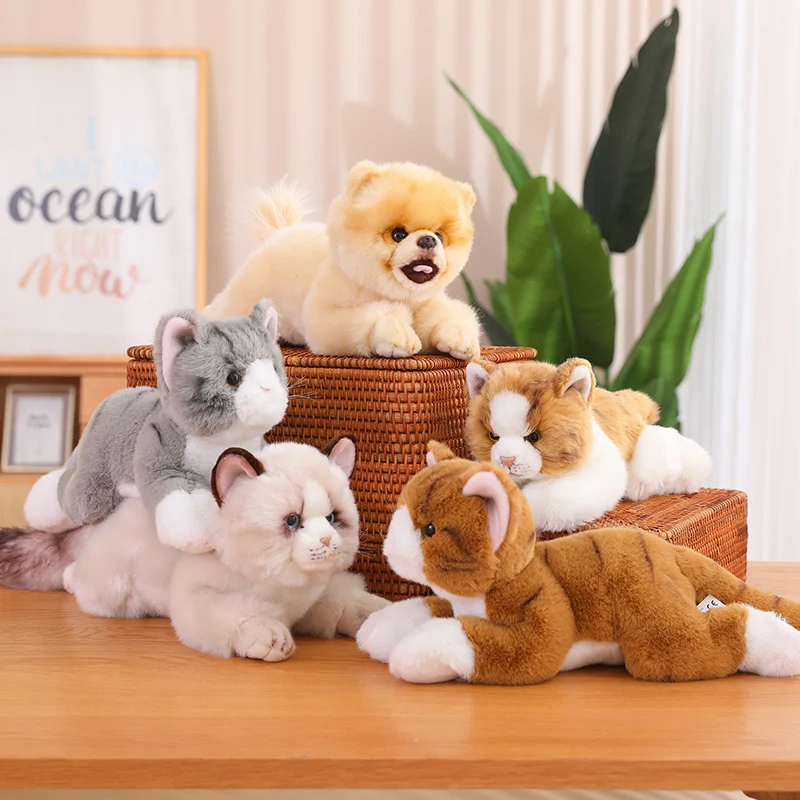 Милая имитация лежачих кошек, плюшевая игрушка, милая Ragdoll, плюшевые куклы, мягкая подушка в виде животного, хороший подарок на день рождения для ребенка
Милая имитация лежачих кошек, плюшевая игрушка, милая Ragdoll, плюшевые куклы, мягкая подушка в виде животного, хороший подарок на день рождения для ребенка
