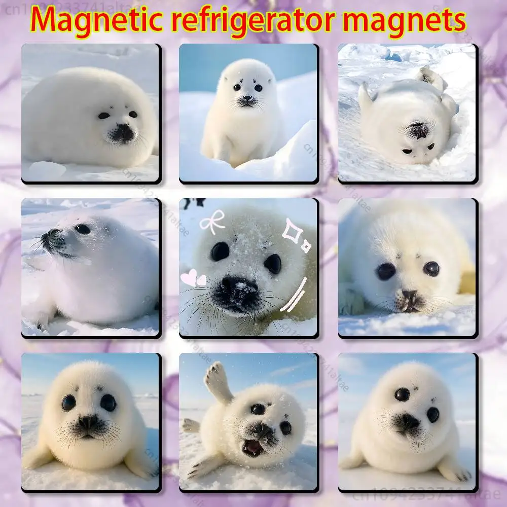 Cute animal seal Magnetic Fridge Magnets - No Falling Off, Fit for Refrigerators, All Metal Surfaces,Home Decor
Cute animal seal Magnetic Fridge Magnets - No Falling Off, Fit for Refrigerators, All Metal Surfaces,Home Decor
