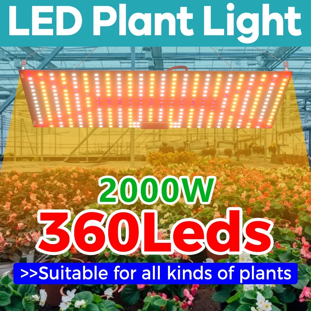 Quantum LED Grow Light 2000W Veg and Bloom Phytolamp, EU Plug, for Plant Full Spectrum Hydroponic Lamp Greenhouse Flower
Quantum LED Grow Light 2000W Veg and Bloom Phytolamp, EU Plug, for Plant Full Spectrum Hydroponic Lamp Greenhouse Flower