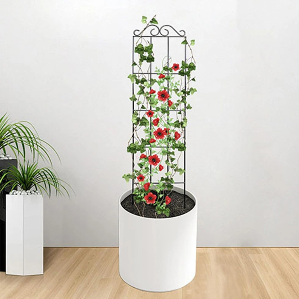 2pcs Black Plant Climbing Rack For Garden Frame Support Racks for Indoor Potted Plants Garden Trellis Stake Holder
2pcs Black Plant Climbing Rack For Garden Frame Support Racks for Indoor Potted Plants Garden Trellis Stake Holder