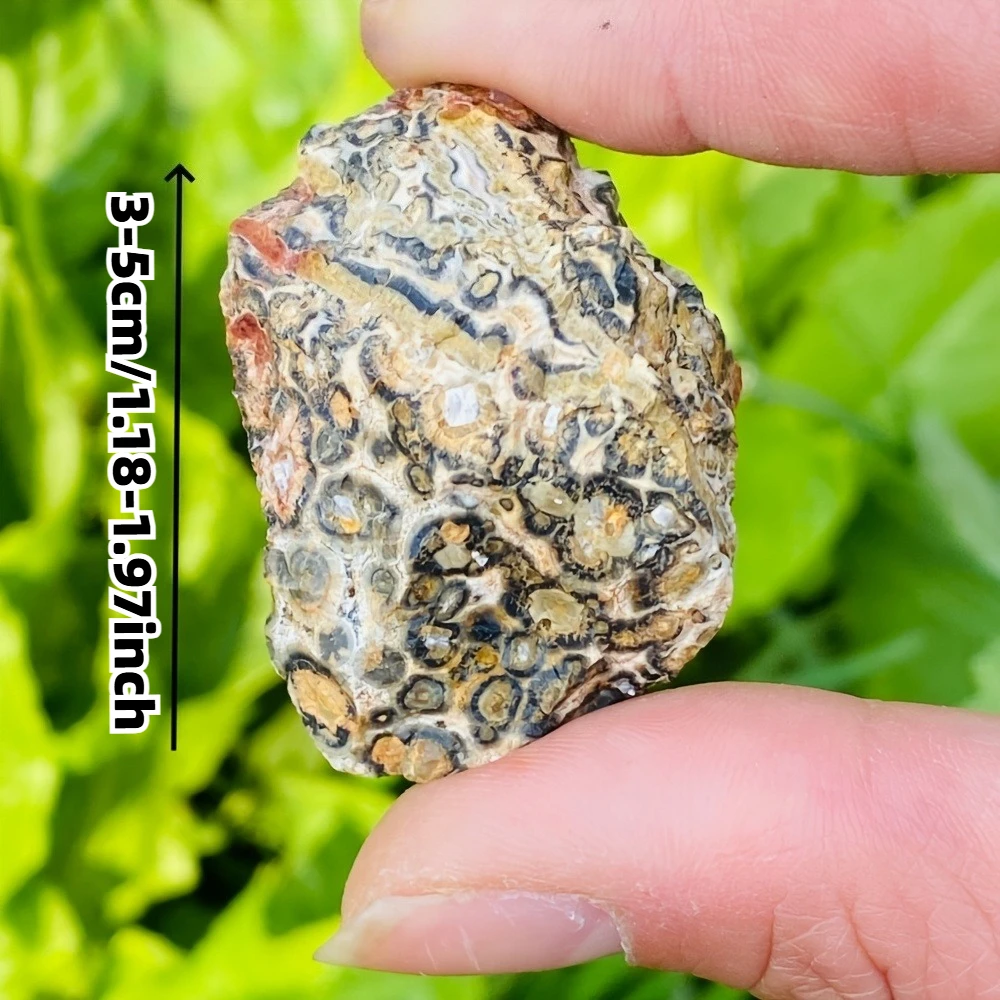 Natural Leopard Skin Rough Stone Quartz Raw Mineral Specimens Crystals Room Home Decor Holiday Gifts Collectible Gifts
Natural Leopard Skin Rough Stone Quartz Raw Mineral Specimens Crystals Room Home Decor Holiday Gifts Collectible Gifts