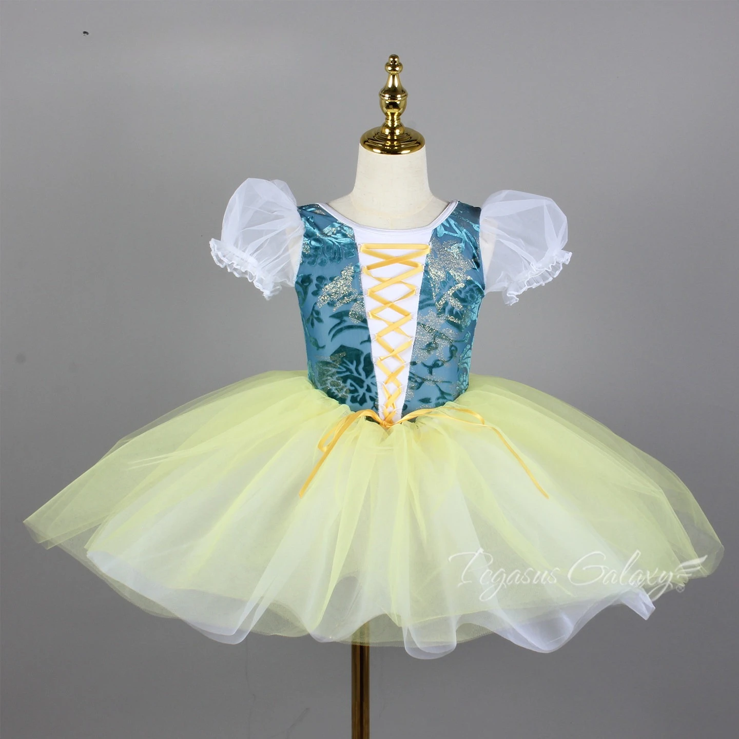 Girls Short Sleeves Round Neck Tull Skirt Ballet Dress Women Stage Show Performance Dance Costume Lacing Ballerina Bodysuit
Girls Short Sleeves Round Neck Tull Skirt Ballet Dress Women Stage Show Performance Dance Costume Lacing Ballerina Bodysuit