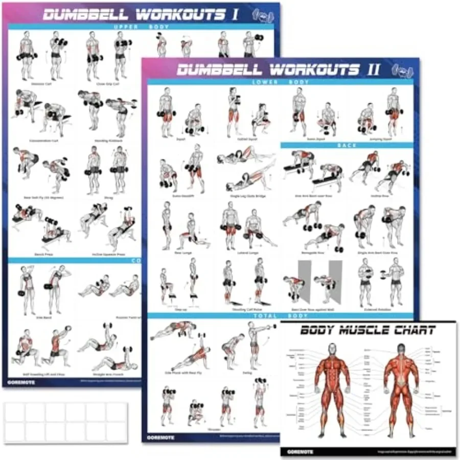 Dumbbell Workout Poster Set 2 Pack - Workout Posters for Home Gym, Volume I and II - 18" x 24" with Enlarged Dumbbell Exercise
Dumbbell Workout Poster Set 2 Pack - Workout Posters for Home Gym, Volume I and II - 18" x 24" with Enlarged Dumbbell Exercise