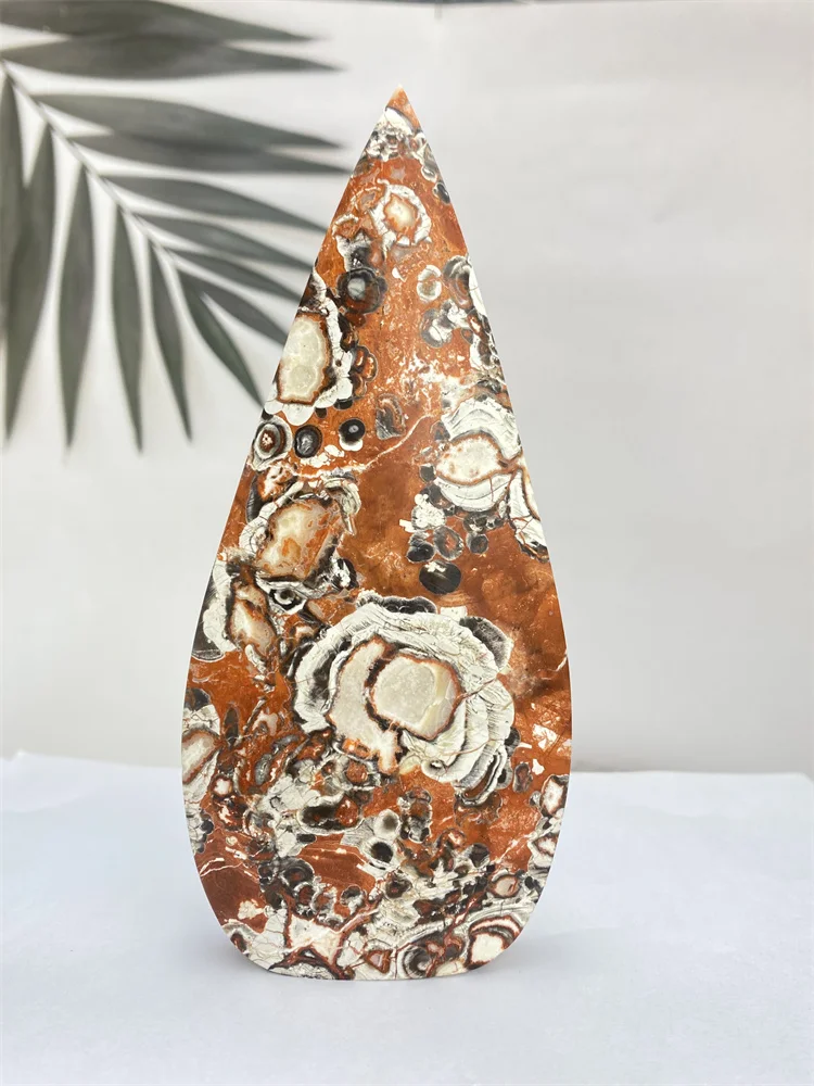 Natural Mineral Money Agate Free Form Torch Free Form Striped Pattern Room Decor Energy Mineral Feng Shui Gift
Natural Mineral Money Agate Free Form Torch Free Form Striped Pattern Room Decor Energy Mineral Feng Shui Gift