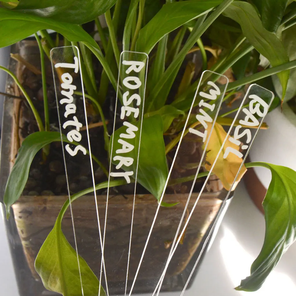 12Pcs Garden Label Stakes No Force Needed Plant Tags for Outdoor Plants Decoration Plant Tags Garden Labels Markers
12Pcs Garden Label Stakes No Force Needed Plant Tags for Outdoor Plants Decoration Plant Tags Garden Labels Markers