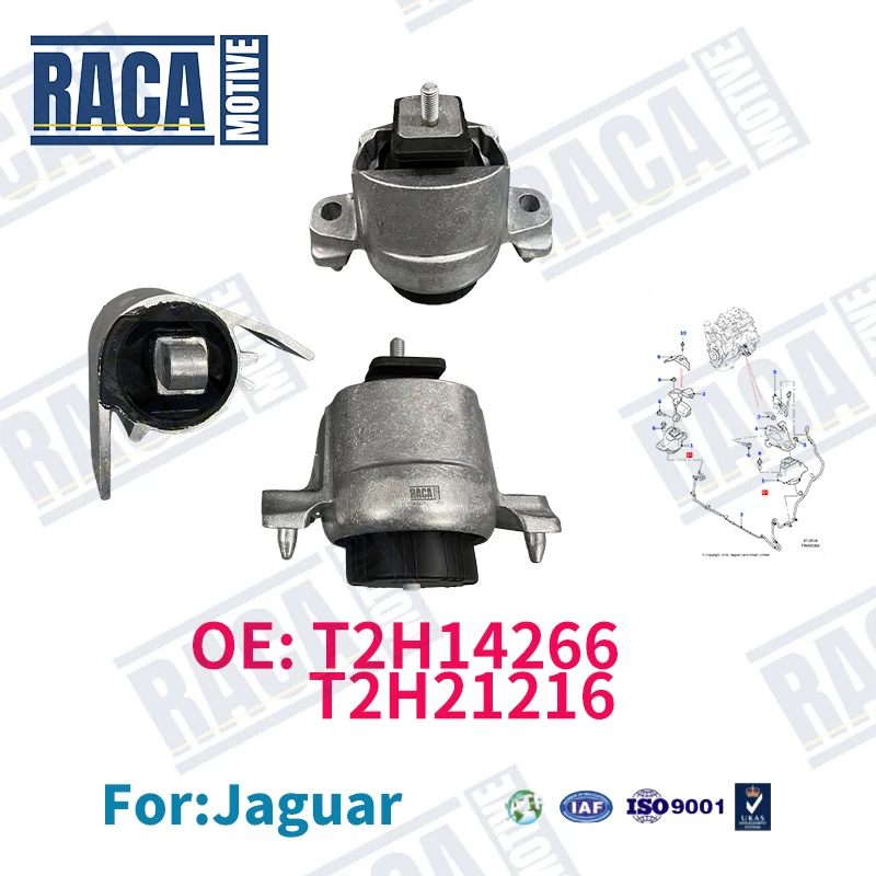 For Jaguar XF X260 XFL F-PACE 2016- X761 2.0L Engine Motor Mount T2H14266 2H8171 T2H53874 T2H45357 T2H41240 T2H21216 T2H15854
For Jaguar XF X260 XFL F-PACE 2016- X761 2.0L Engine Motor Mount T2H14266 2H8171 T2H53874 T2H45357 T2H41240 T2H21216 T2H15854