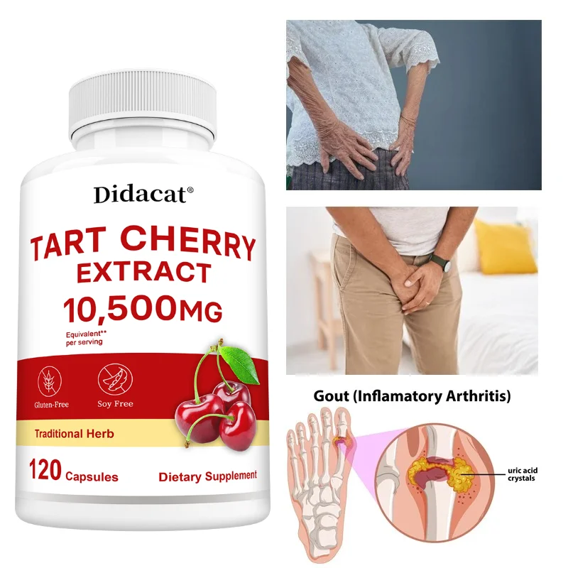 Tart Cherry Extract Capsules, Antioxidant, Supports Uric Acid Balance, Joint Comfort, Post-Workout Recovery & Restful Sleep
Tart Cherry Extract Capsules, Antioxidant, Supports Uric Acid Balance, Joint Comfort, Post-Workout Recovery & Restful Sleep