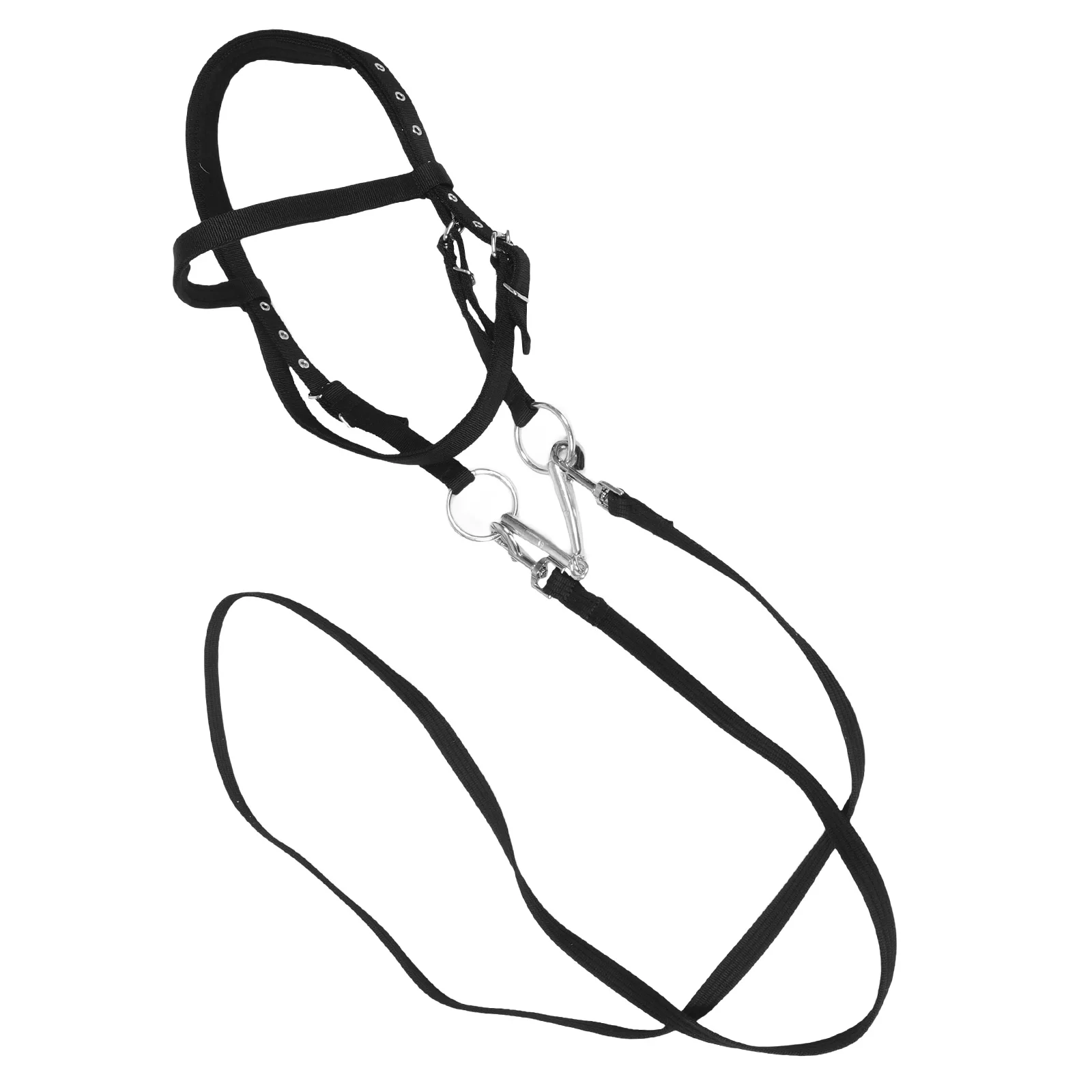 Equestrian Reins Horse Rope Bridle Halters Black Large Size Practical Sturdy Small Horses Rope Halter Matching
Equestrian Reins Horse Rope Bridle Halters Black Large Size Practical Sturdy Small Horses Rope Halter Matching