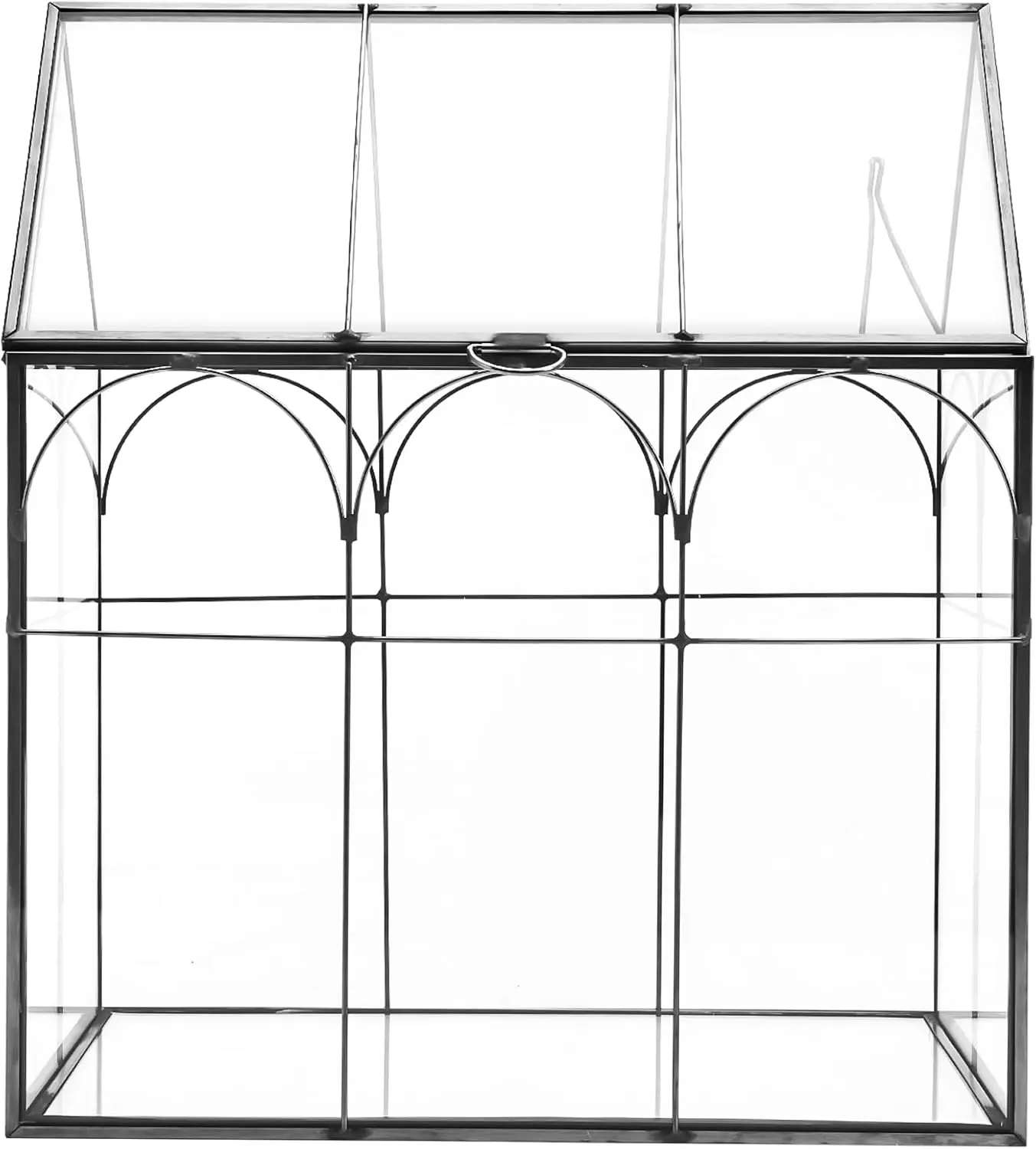 Geometric Plant Terrarium with Lid, Brass Frame, Not Airtight or Waterproof, Black
Geometric Plant Terrarium with Lid, Brass Frame, Not Airtight or Waterproof, Black