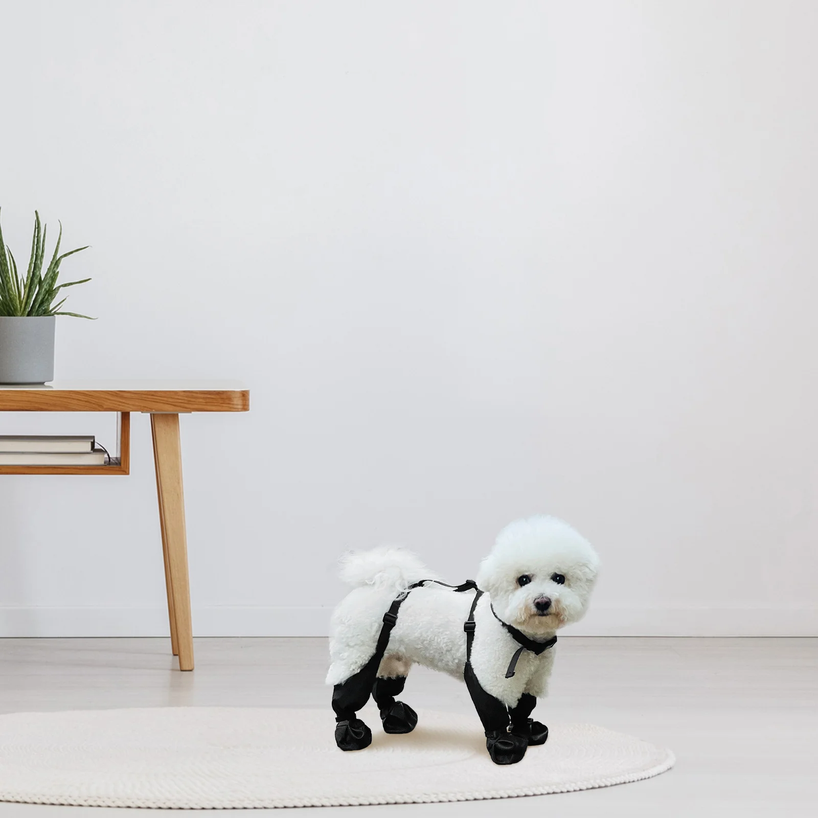 Waterproof Dog Boots for Rain Snow - Non-Slip Outdoor Pet Shoes - Comfortable Fit Protective Puppy Walking Footwear - Large Dog
Waterproof Dog Boots for Rain Snow - Non-Slip Outdoor Pet Shoes - Comfortable Fit Protective Puppy Walking Footwear - Large Dog