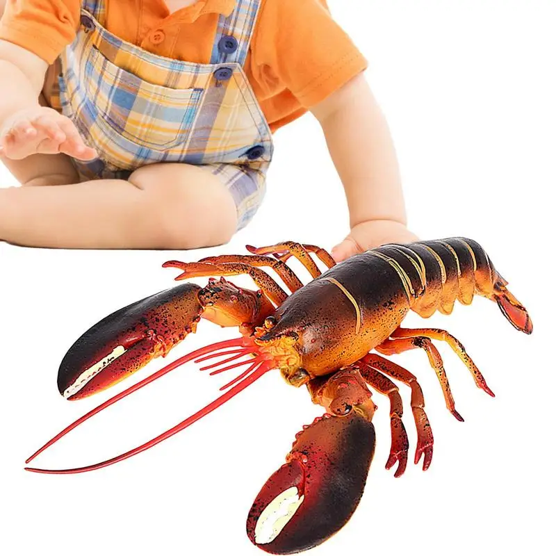 Lobster Toy Emulational Lobster Model Lobster Ornament For Home Kitchen Hotel Restaurant Decoration Store Store Display Food
Lobster Toy Emulational Lobster Model Lobster Ornament For Home Kitchen Hotel Restaurant Decoration Store Store Display Food