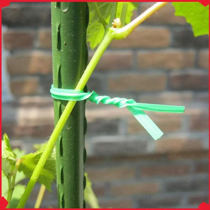 B17B 3X Gardening Twisted Wire With Gardening Twisted Green Wire, Home Use, Office (20M, Green)
B17B 3X Gardening Twisted Wire With Gardening Twisted Green Wire, Home Use, Office (20M, Green)