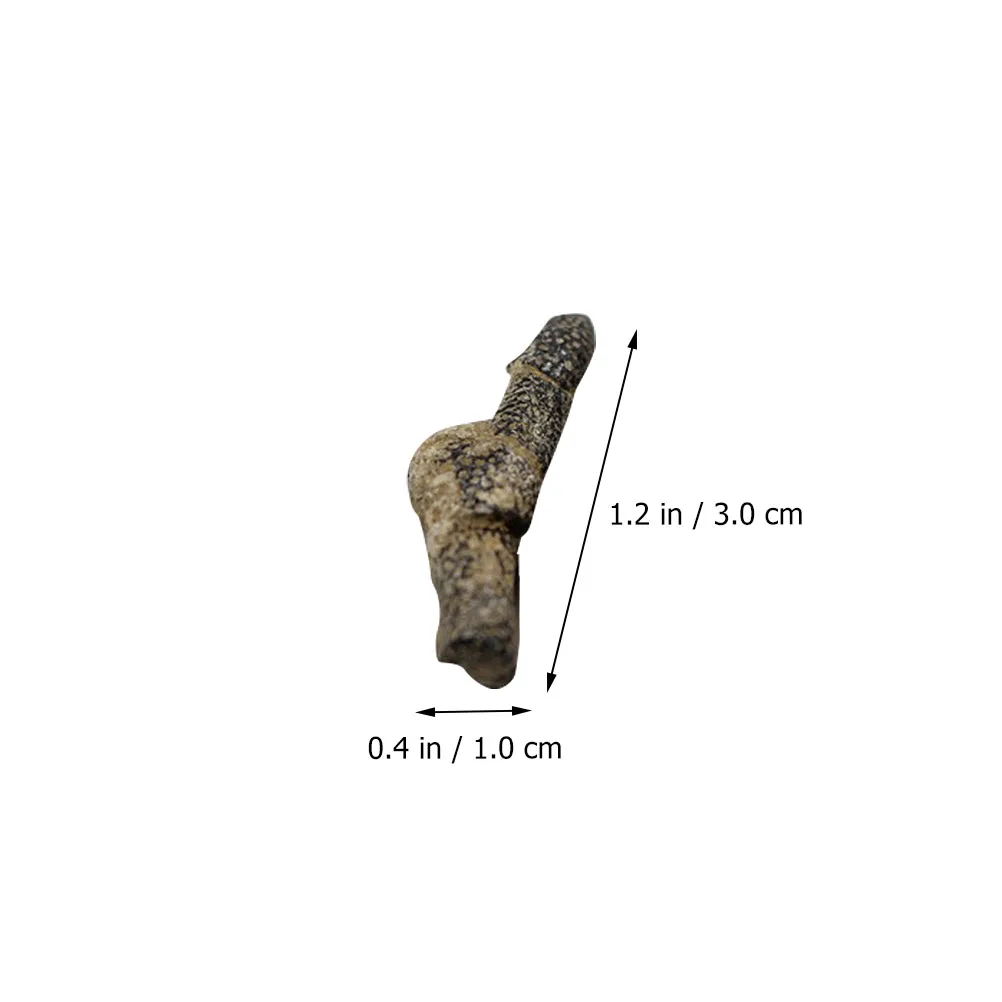 5 Pcs Specimen Decoration Table Adornment Simulation Sample Ocean Ancient Teaching Tool
5 Pcs Specimen Decoration Table Adornment Simulation Sample Ocean Ancient Teaching Tool