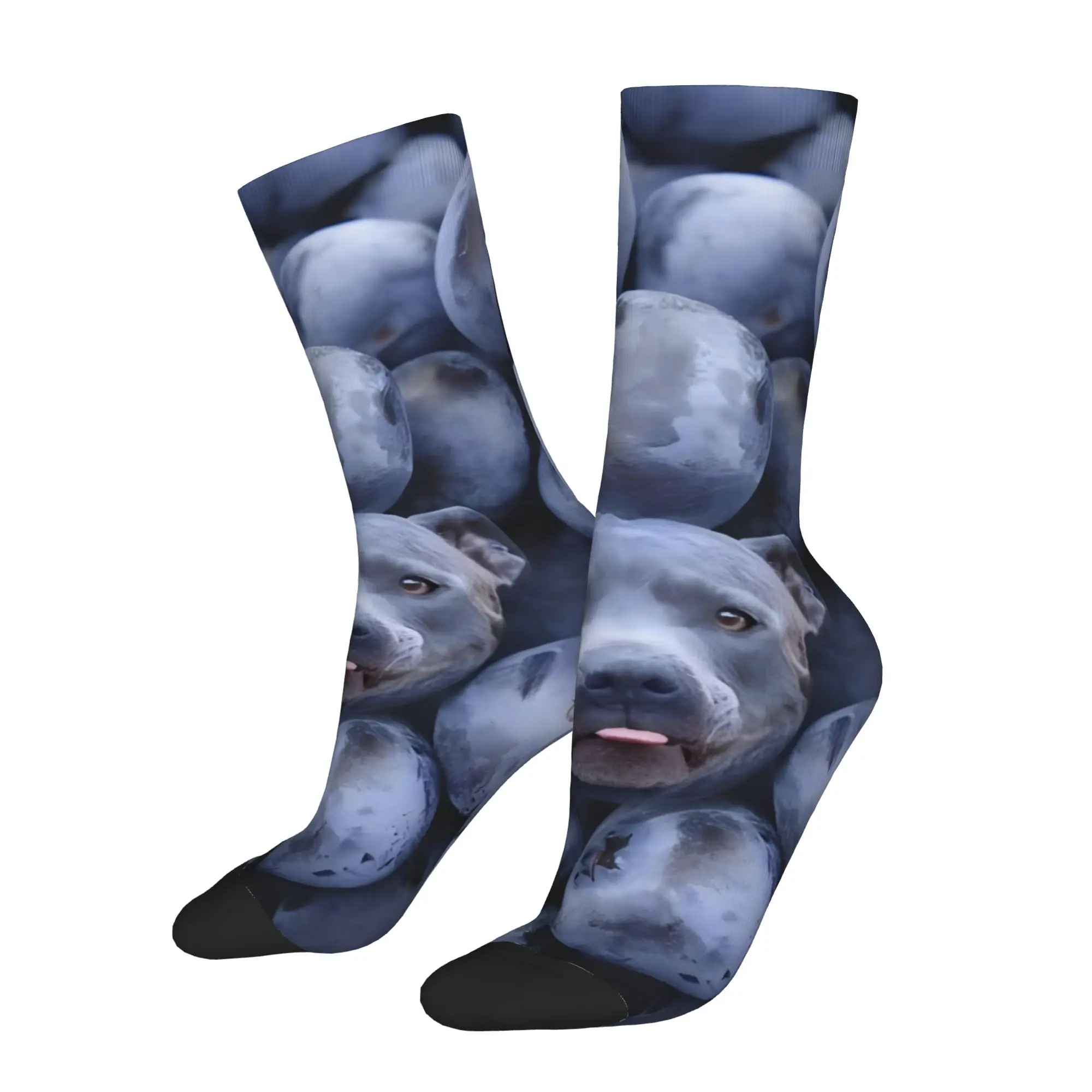 Funny Sock Food Blue Dog In Blueberries Creative Collage Hip Hop Quality Pattern Printed Men Crew Socks Casual Men's Socks
Funny Sock Food Blue Dog In Blueberries Creative Collage Hip Hop Quality Pattern Printed Men Crew Socks Casual Men's Socks