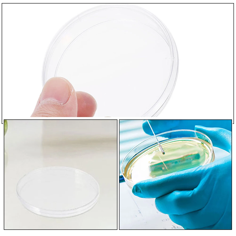 10 Pcs Petri Dish Empty Dishes with Lids Culture Plate Lab Laboratory Plates Cell Supplies Grid Clear Science
10 Pcs Petri Dish Empty Dishes with Lids Culture Plate Lab Laboratory Plates Cell Supplies Grid Clear Science