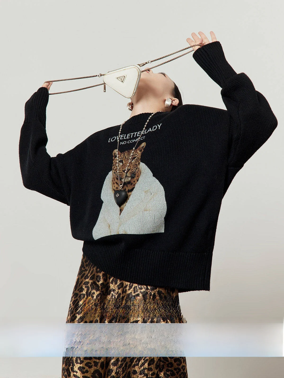 Loose Knitted Light ey Floral Leopard Sweater Women's round Ne Pullover Casual Sle Spring New Arrival in Wu
Loose Knitted Light ey Floral Leopard Sweater Women's round Ne Pullover Casual Sle Spring New Arrival in Wu