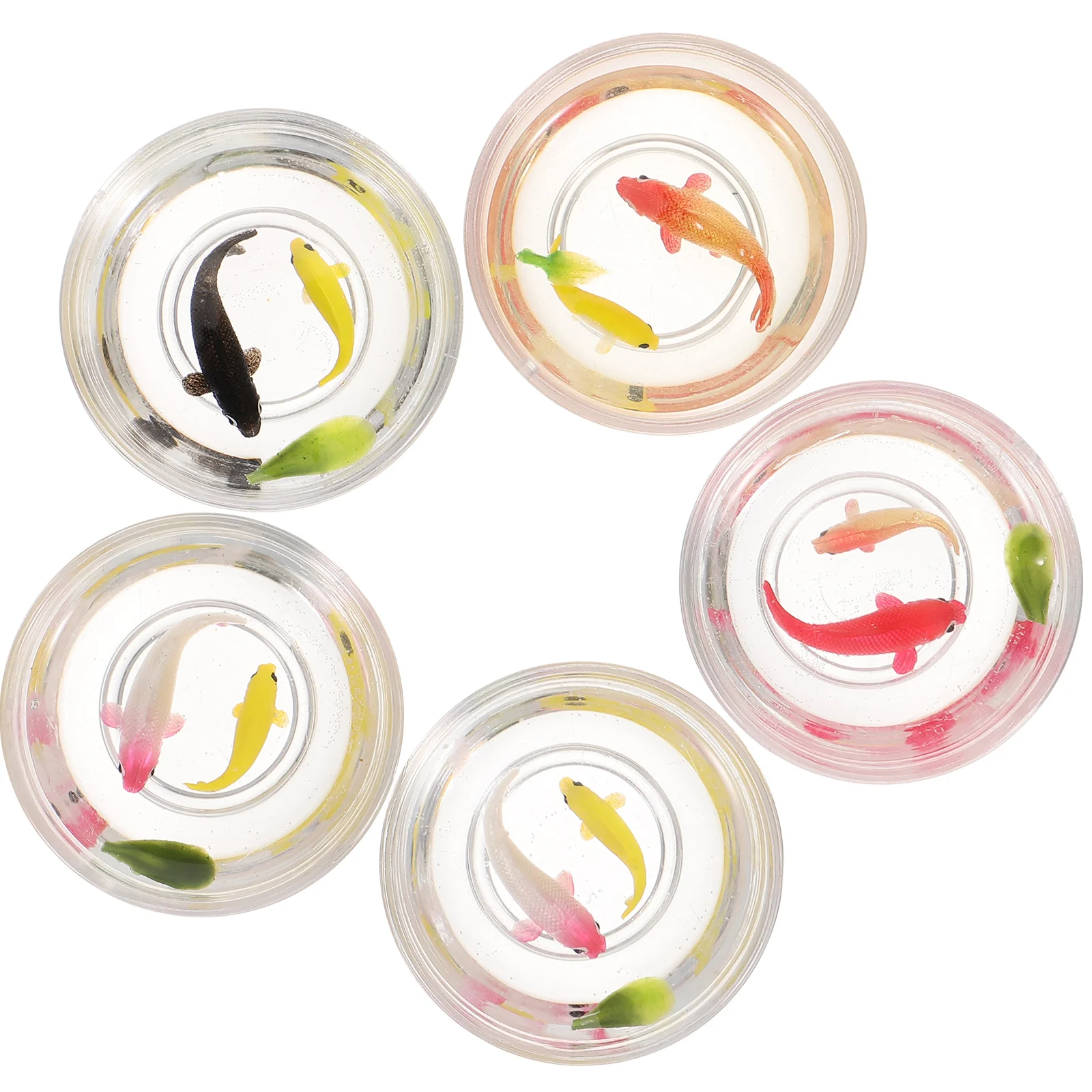 5 Pcs Miniature Clear Bowl Fish Tank naments for Dollhouse Decorations Detailed Craftsmanship Tiny Model Aquarium Accessories
5 Pcs Miniature Clear Bowl Fish Tank naments for Dollhouse Decorations Detailed Craftsmanship Tiny Model Aquarium Accessories