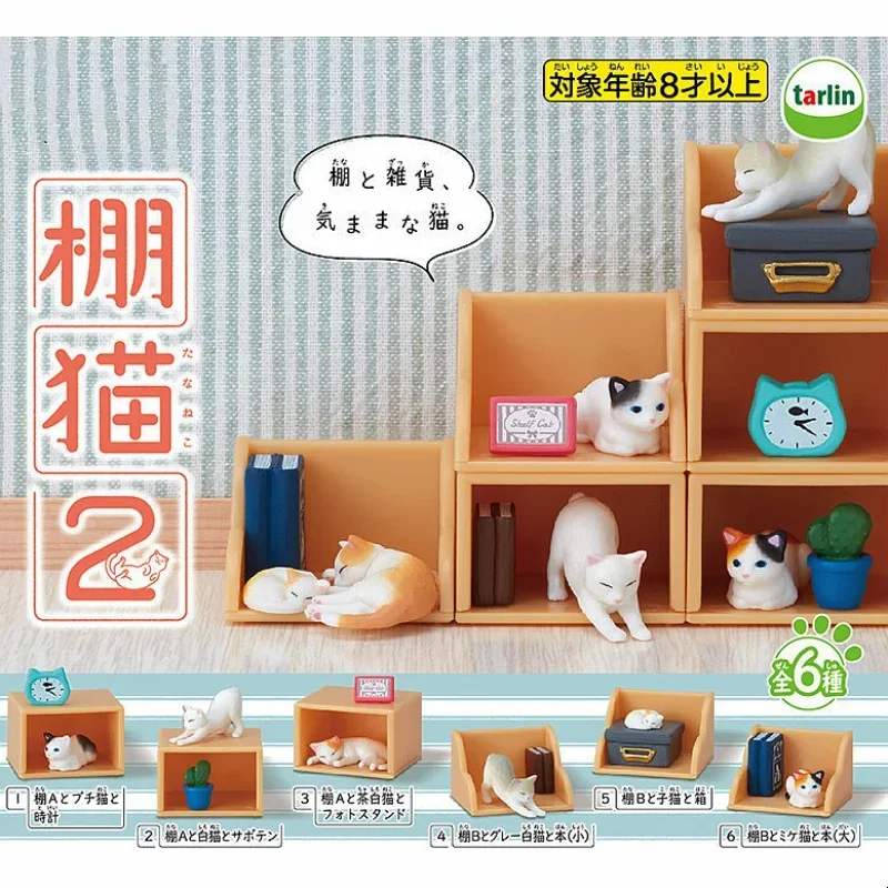 TARLIN Gashapon фигурка аниме Kawaii Shed Cat P2, товарная полка, Горшечное растение Bookrack, миниатюрная Статуэтка Gacha, фотоигрушка
TARLIN Gashapon фигурка аниме Kawaii Shed Cat P2, товарная полка, Горшечное растение Bookrack, миниатюрная Статуэтка Gacha, фотоигрушка