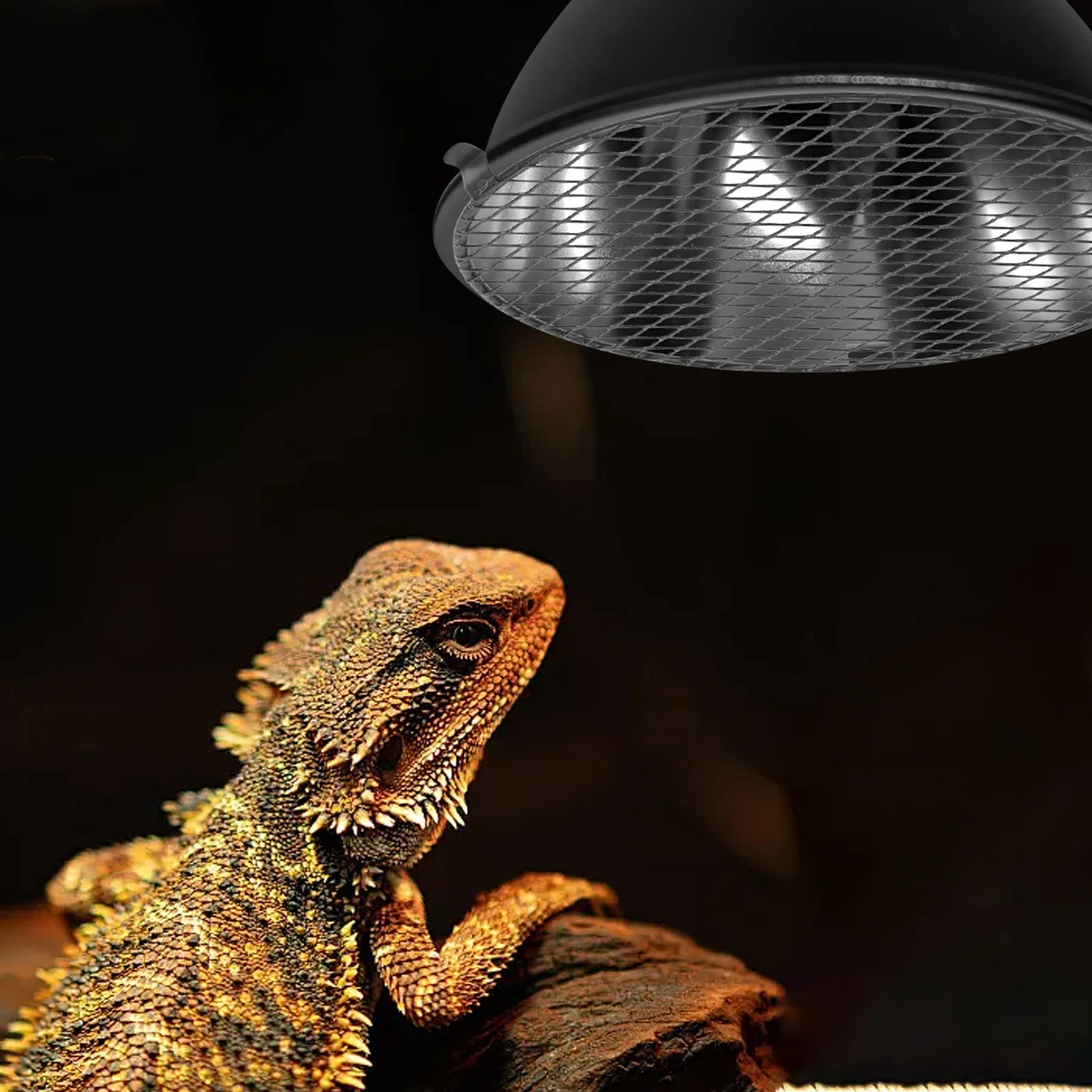 3Pcs Reptile Heat Lamp Guard Iron Mesh Protective Cover Cage Lamp Safety Shield Heating Enclosure Reptile Cage Heat Shield
3Pcs Reptile Heat Lamp Guard Iron Mesh Protective Cover Cage Lamp Safety Shield Heating Enclosure Reptile Cage Heat Shield